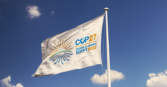 COP27 e negócios: A importância da Conferência das Partes para as empresas