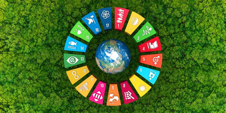A Viabilidade e Necessidade da Gestão dos ODS nas Organizações: Uma Análise Filosófica e Administrativa