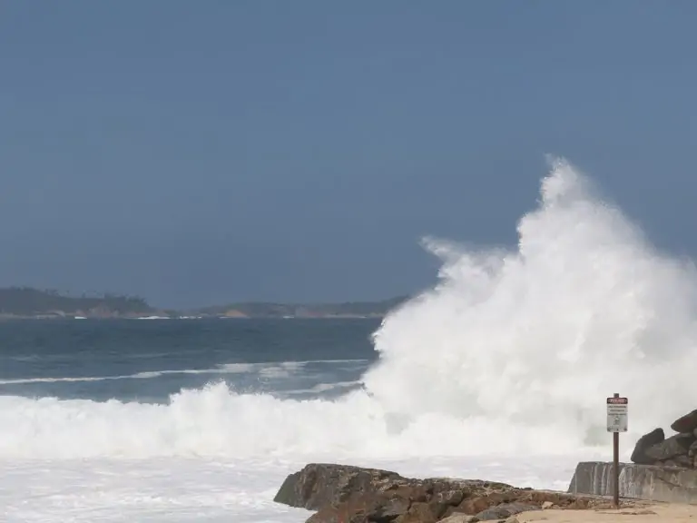 Os efeitos da emergência climática, seus riscos e como podemos agir para mitigá-los